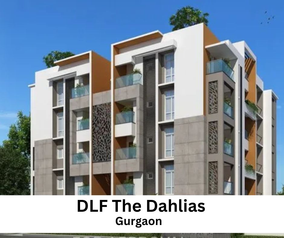 DLF The Dahlias Gurgaon | Modern Amenities & Clubhouse