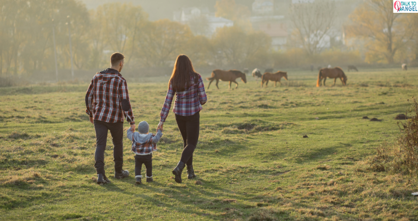 best counselling for family, friends, and couples at TalktoAngel